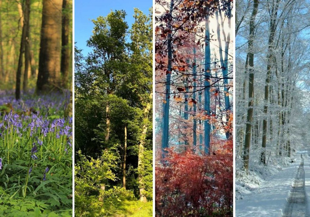 © M Mortecrette et ML Vittori Lyons Andelle Tourisme