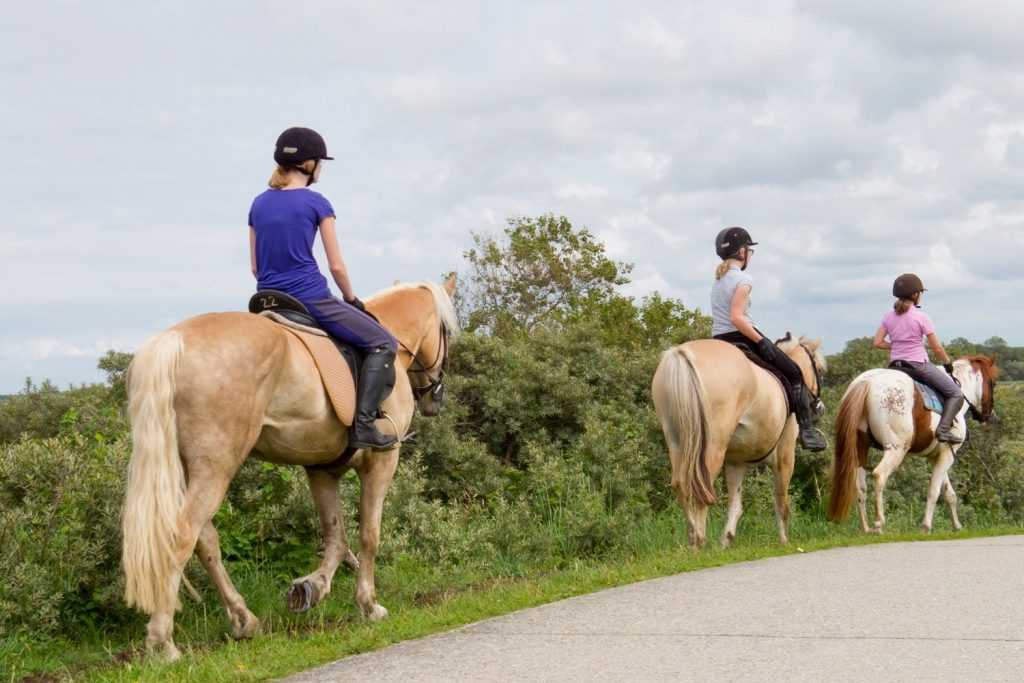 Balade à poney © scottyh - Canva